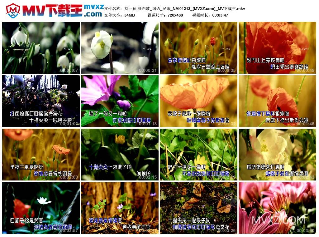 刘一祯-扯白歌_国语_民歌_NAI01213